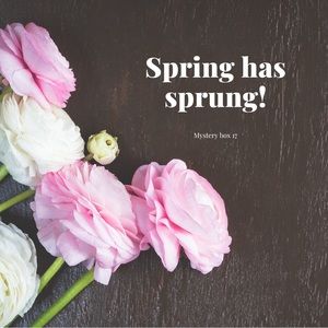 Mystery box 17 spring has sprung
